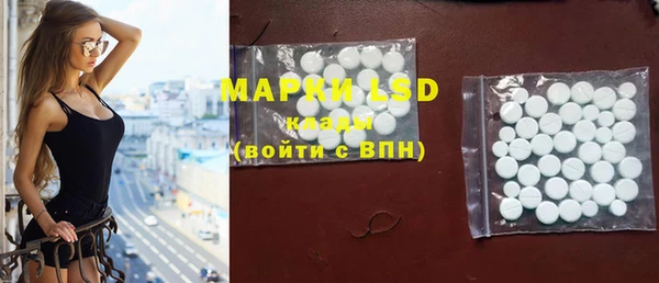 молекула духа Богородицк