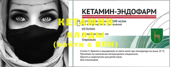 шишки Богородск