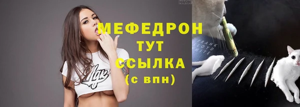 молекула духа Богородицк