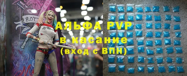 шишки Богородск