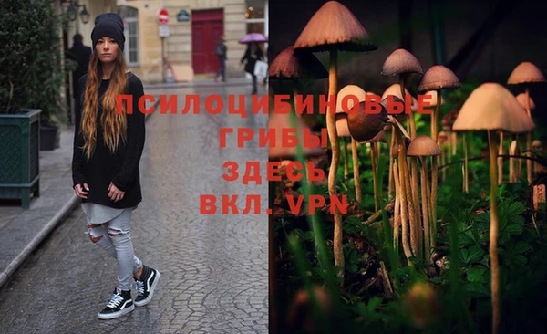 молекула духа Богородицк