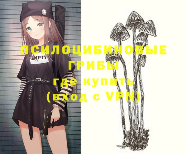 молекула духа Богородицк