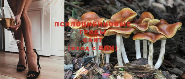 2c-b Богданович