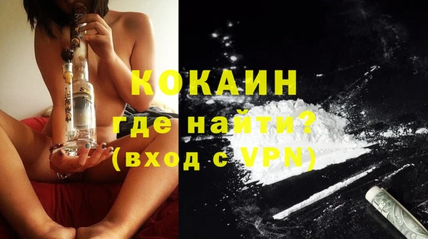 шишки Богородск