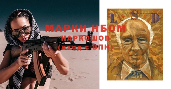 шишки Богородск