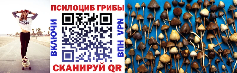 kraken зеркало  Светлый  Псилоцибиновые грибы MAGIC MUSHROOMS 
